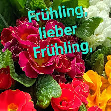 Demo Bild